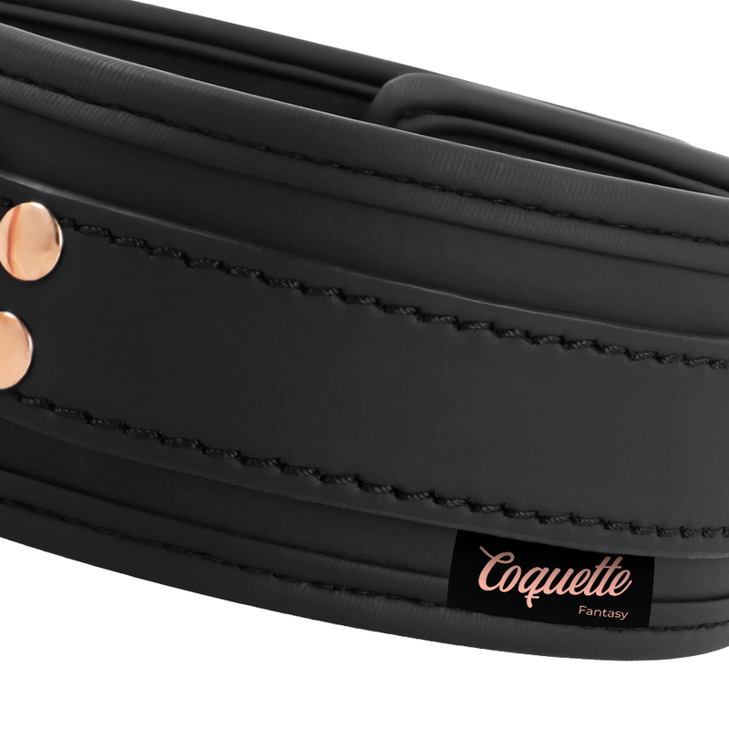 COQUETTE CHIC DESIRE - FANTASY VEGAN LEATHER COLLAR WITH NEOPRENE LINING