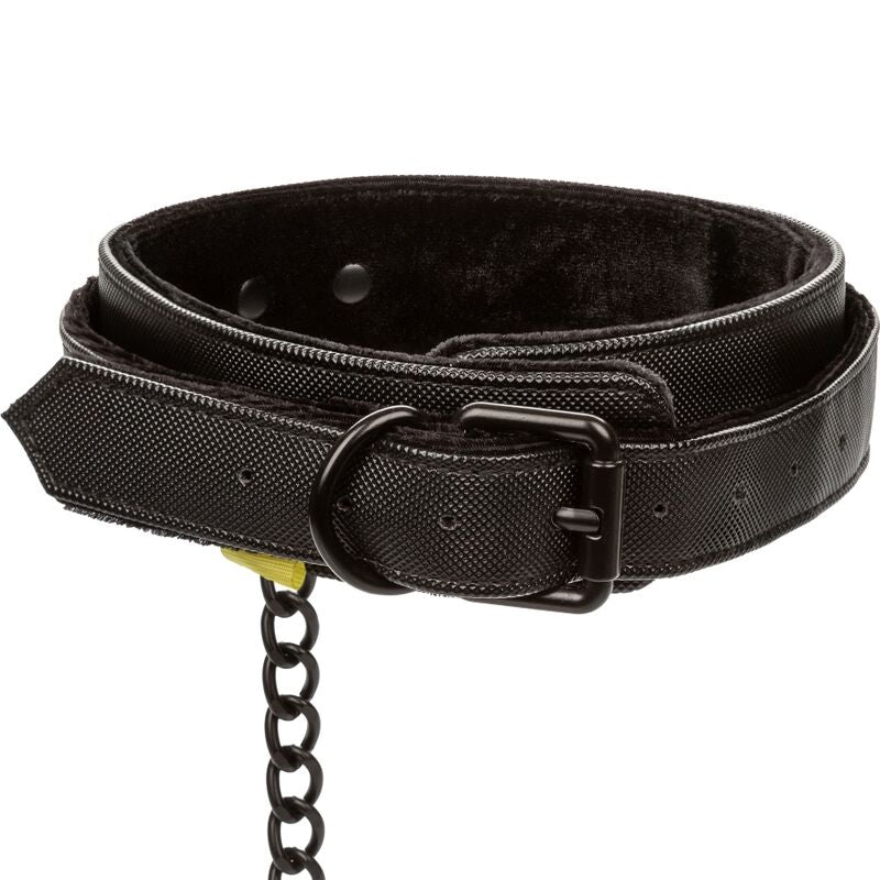 CALEXOTICS - BOUNDLESS COLLAR AND LEASH