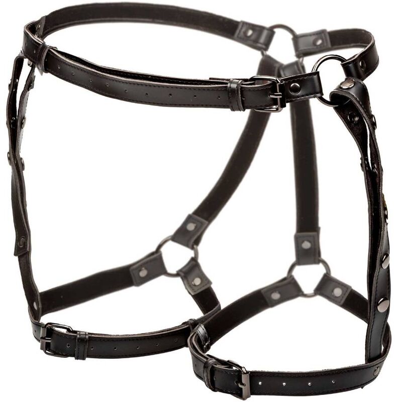 CALEXOTICS - EUPHORIA RIDING THIGH HARNESS