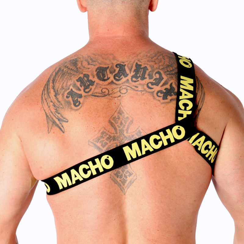 MACHO - ROMAN HARNESS WHITE S/M