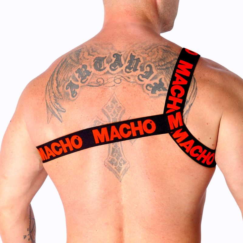 MACHO - ROMAN HARNESS WHITE S/M