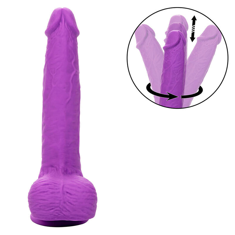 CALEXOTICS - STUDS RECHARGEABLE AND ROTATING VIBRATOR 10 VIBRATIONS PURPLE