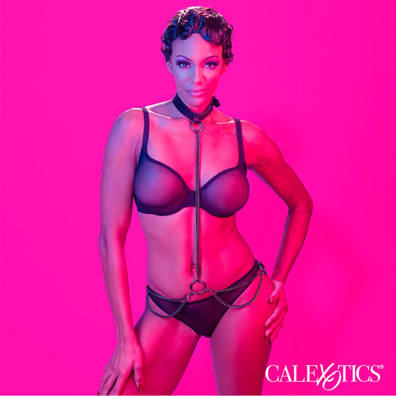 CALEXOTICS - EUPHORIA CHAIN HALTER COLLAR & LEASH