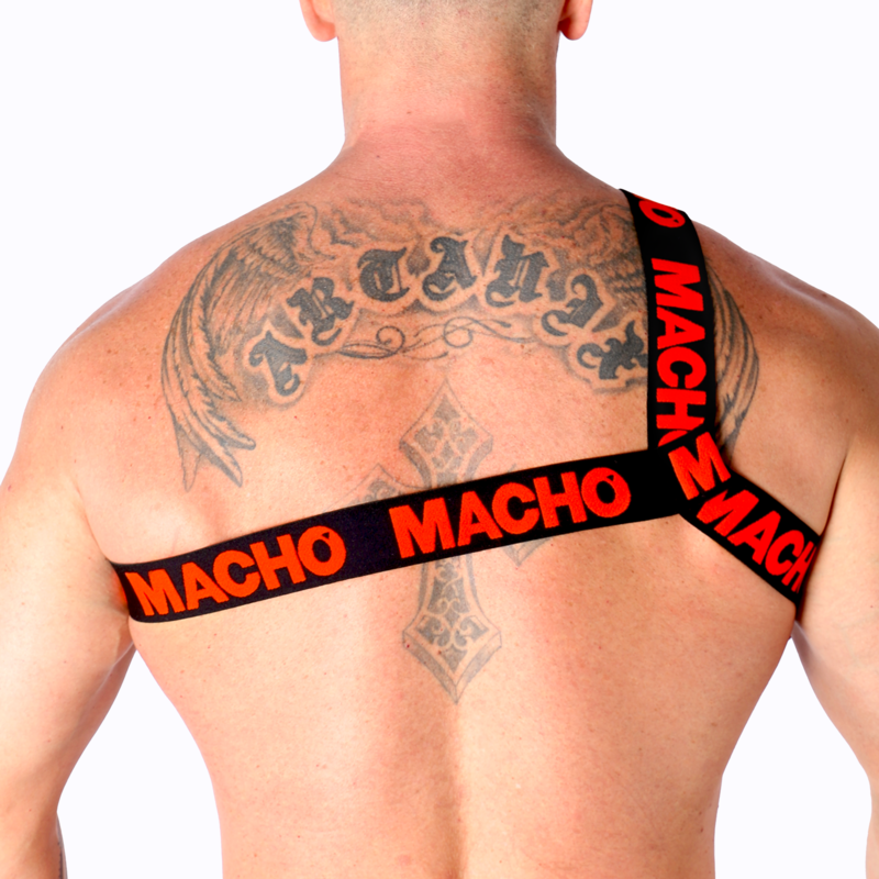 MACHO - ROMAN HARNESS WHITE S/M